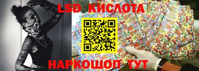 прущие грибы Новокубанск