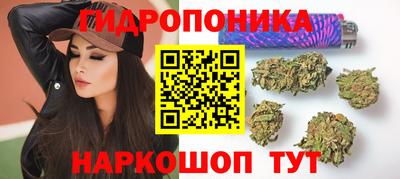 мдпв Новодвинск