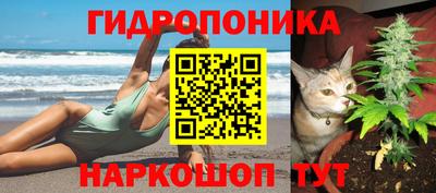 прущие грибы Новокубанск