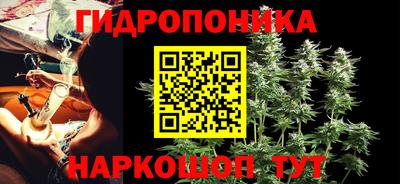 прущие грибы Новокубанск