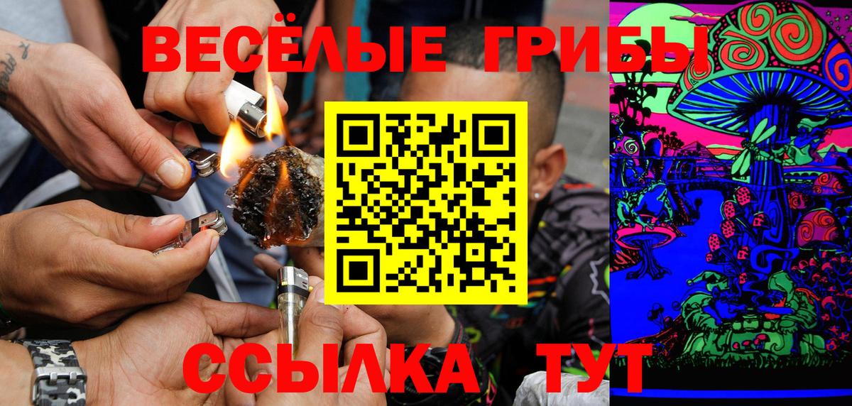 Семёнов  Псилоцибиновые грибы GOLDEN TEACHER  Вход с VPN 